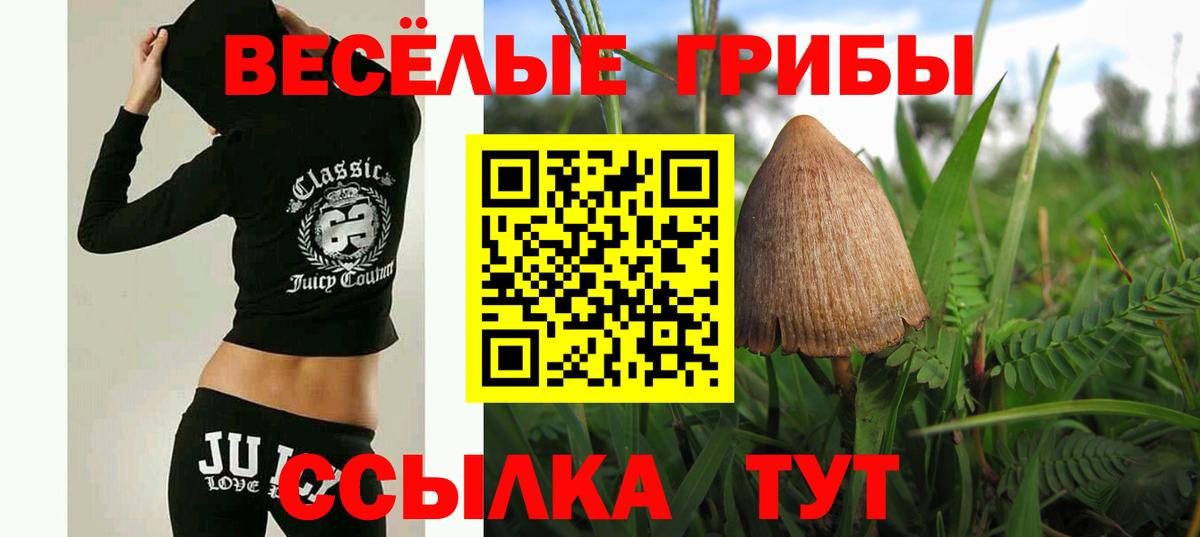 Галлюциногенные грибы Psilocybine cubensis  Вход с VPN  Кашира  Галлюциногенные грибы Magic Shrooms 